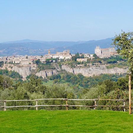 Pietra Campana Italian Villa オルヴィエート エクステリア 写真